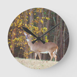 Hirsche vor dem gelben Herbstbaum Runde Wanduhr