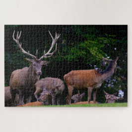 Hirsche Wild Buck Nature Herde Antler Deer Puzzle