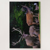Hirsche Wild Buck Nature Herde Antler Deer Puzzle (Vertikal)