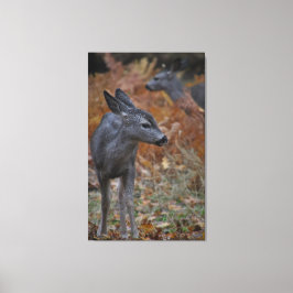 Hirschfamilie- Baby Leinwanddruck