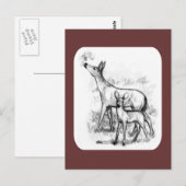 Hirschfamilie Postkarte (Vorne/Hinten)