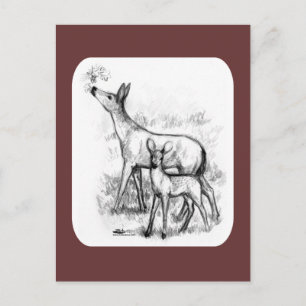 Hirschfamilie Postkarte