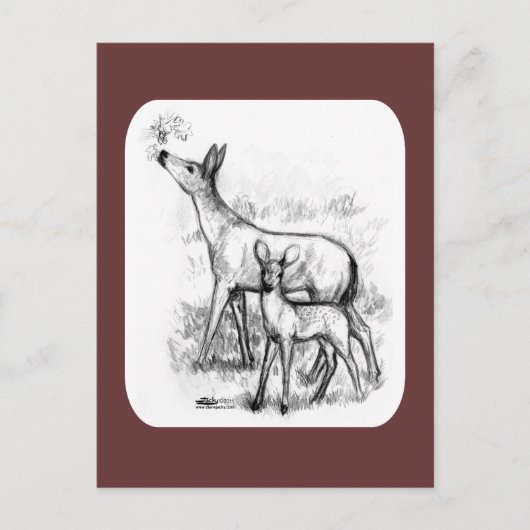 Hirschfamilie Postkarte (Vorderseite)