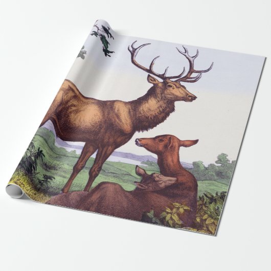 Hirschfamilie Vintag Geburtstag Geschenkpapier (Ungerollt)