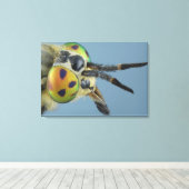 Hirschfliege Leinwanddruck (Insitu (Holzboden))