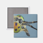 Hirschfliege Magnet (Vorderseite/Rückseite)