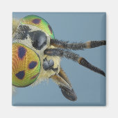 Hirschfliege Magnet (Vorne)