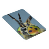 Hirschfliege Magnet (Rechte Seite)