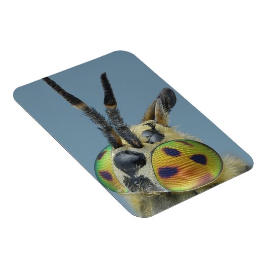 Hirschfliege Magnet (Rechte Seite)