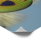 Hirschfliege Poster (Ecke)