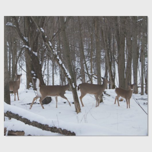 Hirschfräsen Geschenkpapier (Flach)