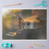 Hirschgesicht Seidenpapier (Basteln)