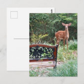 Hirschgewächse im Grasgartenfoto Postkarte (Vorne/Hinten)