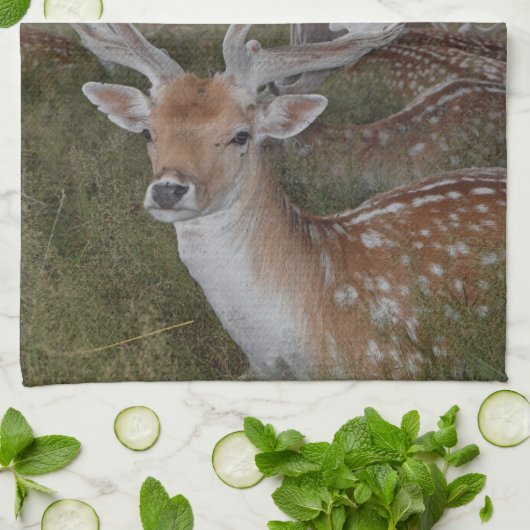 Hirschhandtuch Handtuch (Gefaltet)