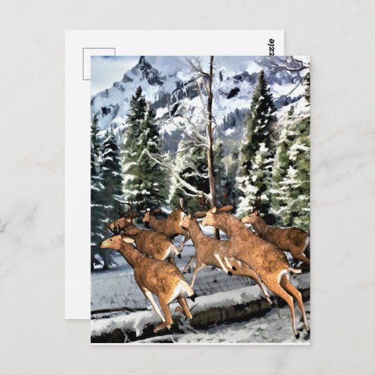 Hirschherde in den Rocky Mountains Postkarte (Vorne/Hinten)