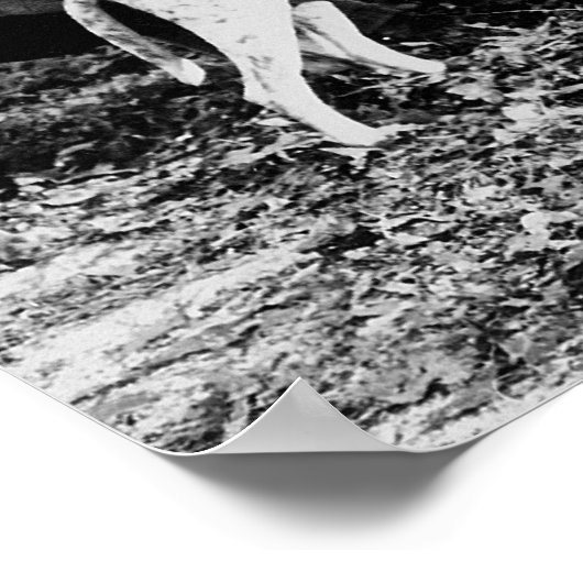 Hirschjäger: 1922 poster (Ecke)