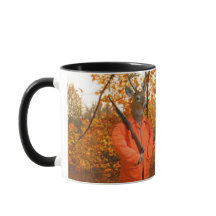 Hirschjäger in Wäldern