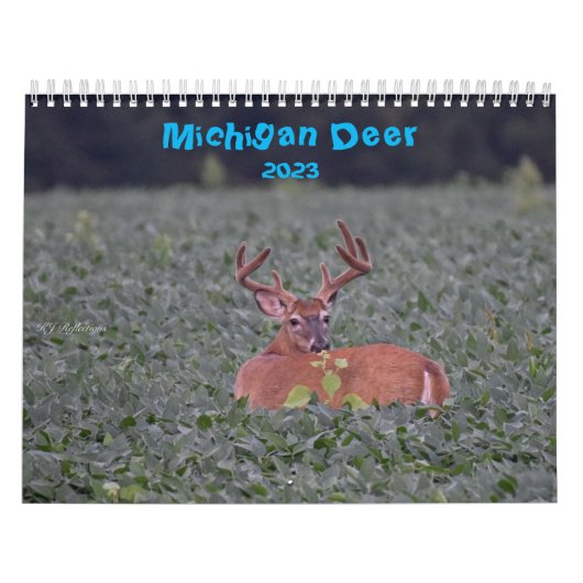 Hirschkalender Kalender (Titelbild)