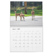Hirschkalender Kalender (Mär 2027)