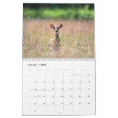 Hirschkalender Kalender (Jan 2027)
