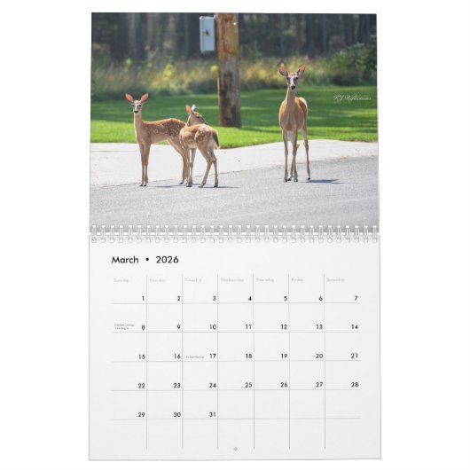Hirschkalender Kalender (Mär 2026)