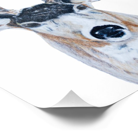 Hirschkopf im Stift Fotodruck (Ecke)