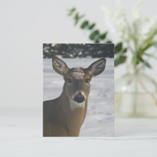 Hirschkopf Postkarte (Stehend Vorderseite)