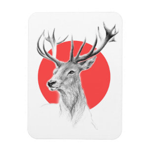 Hirschkopf Stag zeichnend Roter Kreis Tierart Magnet