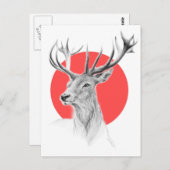 Hirschkopf Stag zeichnend Roter Kreis Tierart Postkarte (Vorne/Hinten)