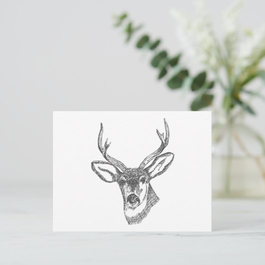 Hirschkopfsketch Postkarte (Stehend Vorderseite)