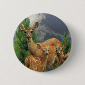 Hirschkunst Button (Vorderseite)