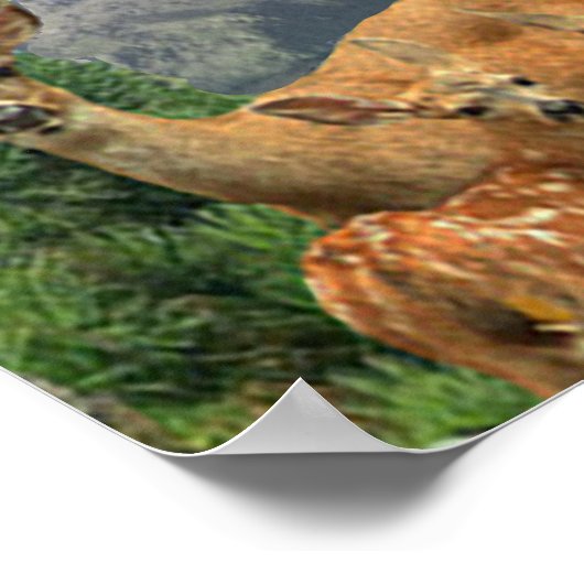 Hirschkunst Poster (Ecke)