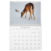 Hirschkunstkalender Kalender (Jan 2027)
