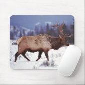 Hirschland Mousepad (Mit Mouse)