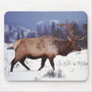 Hirschland Mousepad