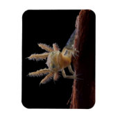 Hirschlarve Magnet (Vertikal)