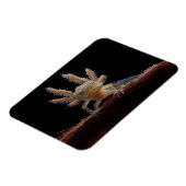 Hirschlarve Magnet (Linke Seite)