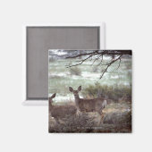 Hirschlauf Magnet (Vorderseite/Rückseite)