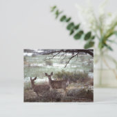 Hirschlauf Postkarte (Stehend Vorderseite)