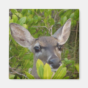 Hirschliebhaber Geschenkideen Magnet
