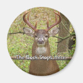 Hirschmagnet Magnet (Vorne)