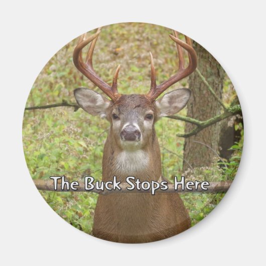 Hirschmagnet Magnet (Vorne)