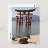 Hirschmiyajima Postkarte (Vorne/Hinten)