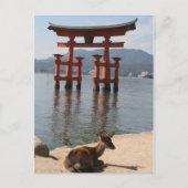 Hirschmiyajima Postkarte (Vorderseite)