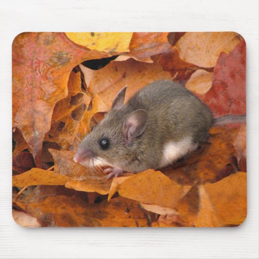 Hirschmousepad Mousepad (Vorne)