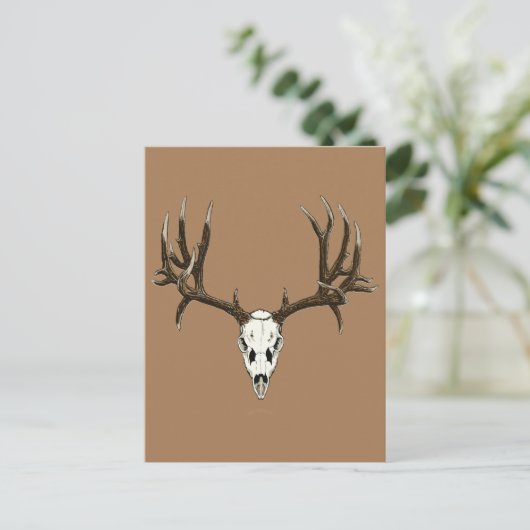 Hirschmöwe Postkarte (Stehend Vorderseite)