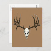 Hirschmöwe Postkarte (Vorne/Hinten)