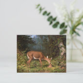 Hirschmutter & Kind im Wald,mütterliche Liebe Postkarte (Stehend Vorderseite)