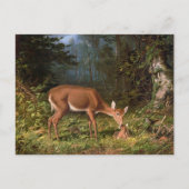 Hirschmutter & Kind im Wald,mütterliche Liebe Postkarte (Vorderseite)