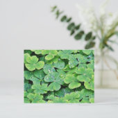 Hirschpark Irland Kleeblatt Tautropfen Postkarte (Stehend Vorderseite)